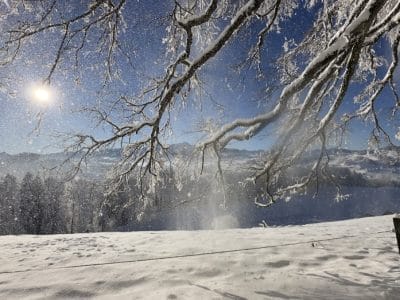 1_slider-solituede-winterzauber-kick-13_1_2024-26