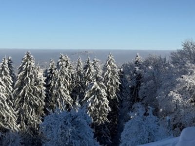 slider-solituede-winterzauber-kick-13_1_2024-31