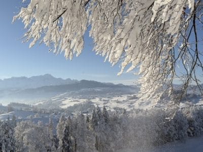 slider-solituede-menzlen-3_12_2023-14