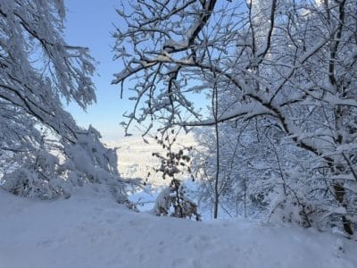 slider-solituede-menzlen-3_12_2023-20