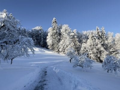 1_slider-solituede-menzlen-3_12_2023-22