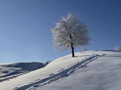 slider-solituede-menzlen-3_12_2023-25