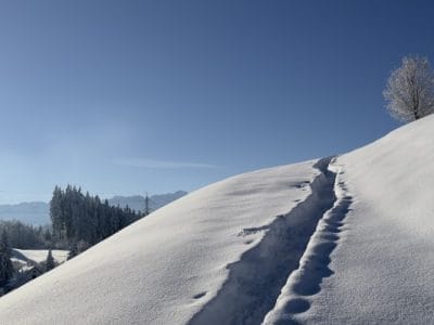 slider-solituede-menzlen-3_12_2023-26