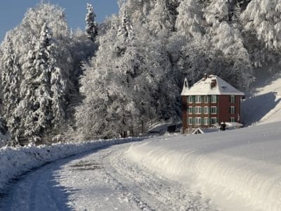 1_slider-solituede-menzlen-3_12_2023-6