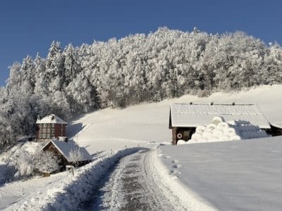 1_slider-solituede-menzlen-3_12_2023-8