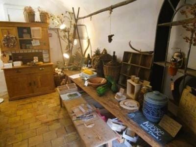 1_1_Gmeinsam-Ausflug_Aug24_11e_Klostergarten