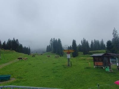 2_Gmeinsam-Ausflug_Aug24_7c_Sellamatt3