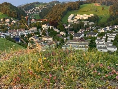 1_slider-solituede-abend-stimmung-17_08_2023-11