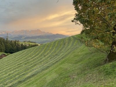 slider-solituede-abend-stimmung-17_08_2023-13