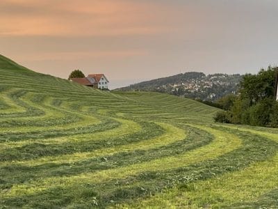 slider-solituede-abend-stimmung-17_08_2023-23