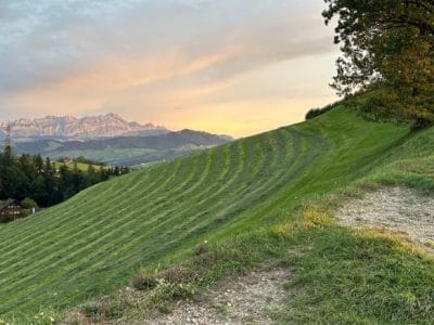 slider-solituede-abend-stimmung-17_08_2023-3