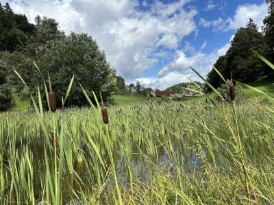 1_bachoffenlegung-tal-der-demut-weiherweidbach-78_2023-5