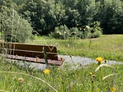 bachoffenlegung-tal-der-demut-weiherweidbach-78_2023-8