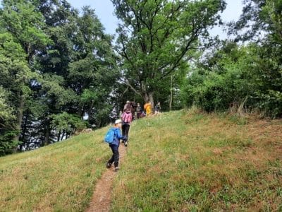 WALDTAGE-2023-Mittwoch-1