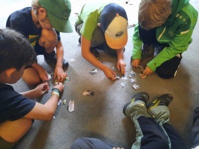 1_WALDTAGE-2023-Mittwoch-15