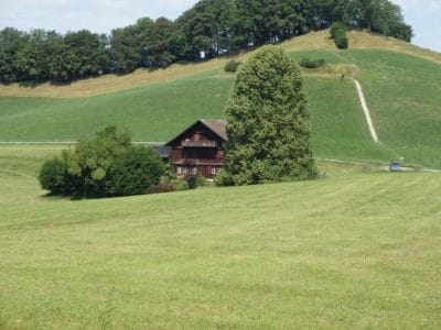 WALDTAGE-2023-Montag-26