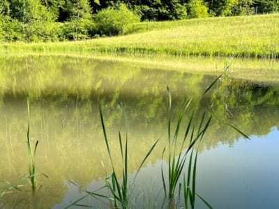 slider-bach-offenlegung-demut-13_06_21-10