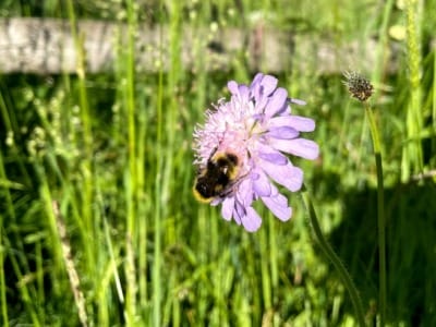 slider-bach-offenlegung-demut-13_06_21-11
