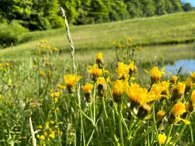 slider-bach-offenlegung-demut-13_06_21-12