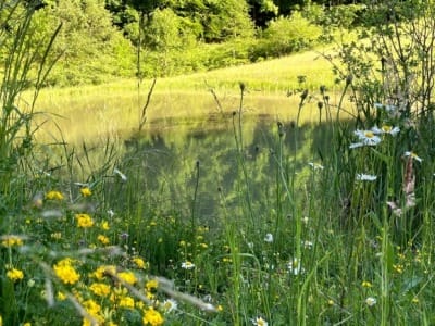 slider-bach-offenlegung-demut-13_06_21-6