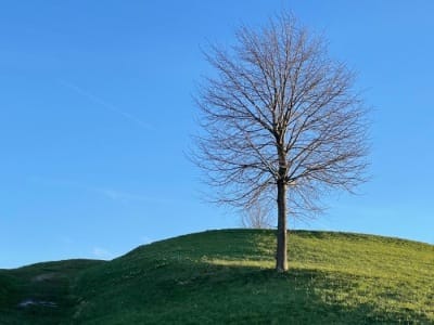 2 Anlauf 10. 4. 2022