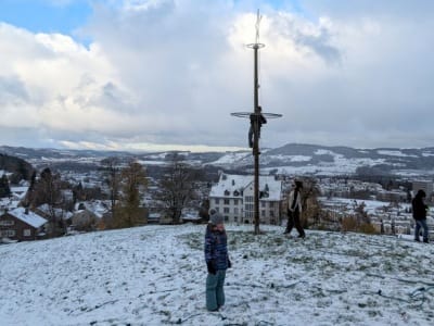 1_christbaum-2023-aufstellen-philipp-4