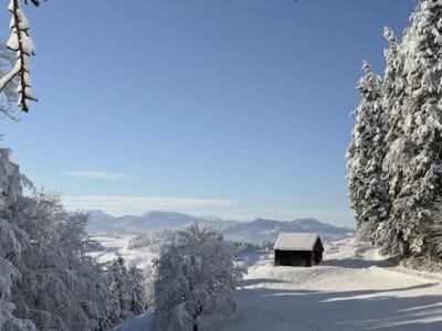 1_slider-solituede-menzlen-3_12_2023-10