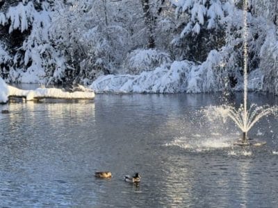 slider-nestweiher-winter-3_12_2023-5