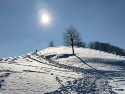 zauberhafter-winter