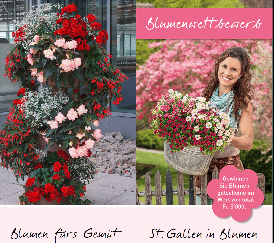 VERSCHÖNERN SIE UNSER QUARTIER - BLUMENWETTBEWERB 2020