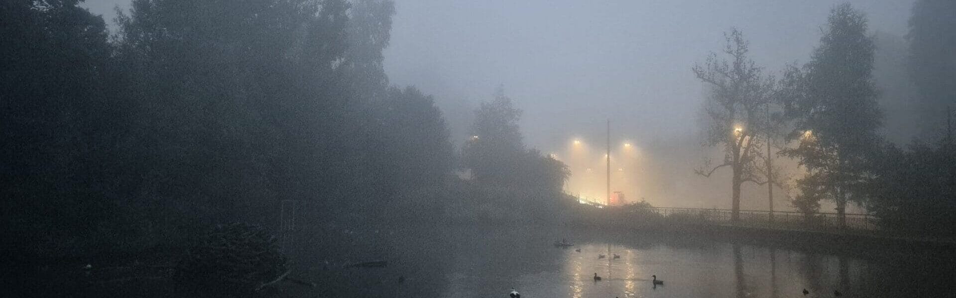 Nestweiher morgens im Nebel