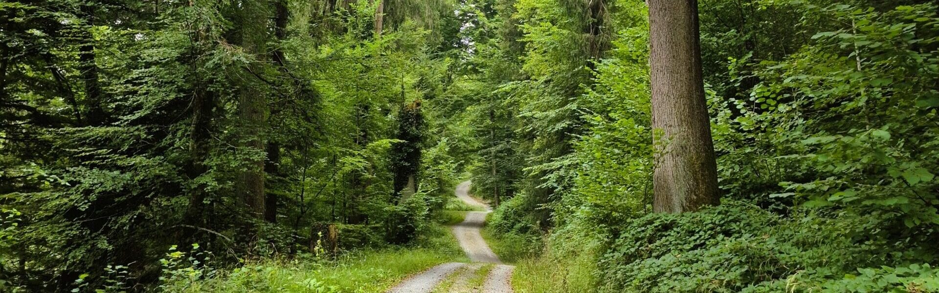 Wanderung am Wattbach entlang